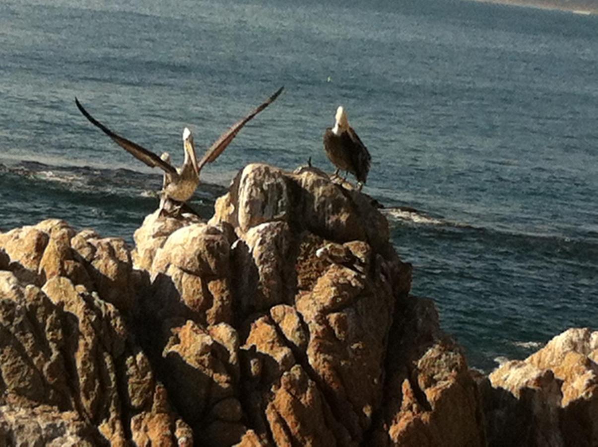 B&B Patrimonial Little Castle Vina del Mar Bagian luar foto